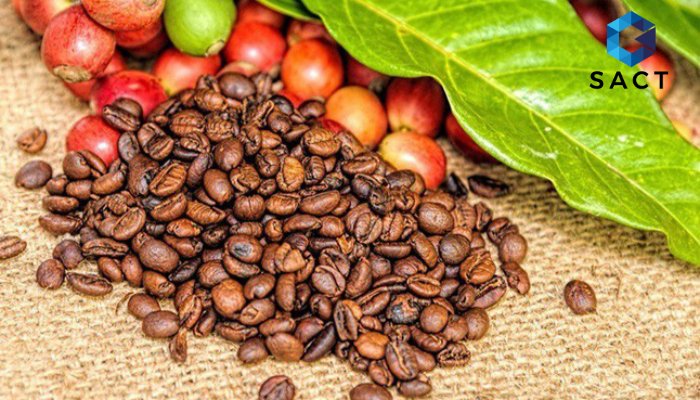 Đầu tư hàng hoá cà phê là gì? 7 lý do thu hút nhà đầu tư của mặt hàng cà phê - Công ty cổ phần giao dịch hàng hóa Đông Nam Á