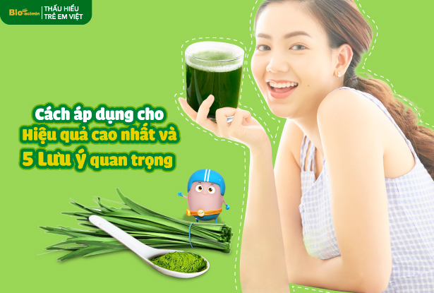 Tinh bột hẹ chữa táo bón: Cách áp dụng cho hiệu quả cao nhất