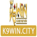 K9Win city