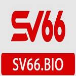 SV66 bio
