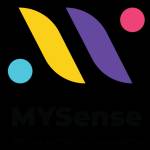 MYSense SEO2