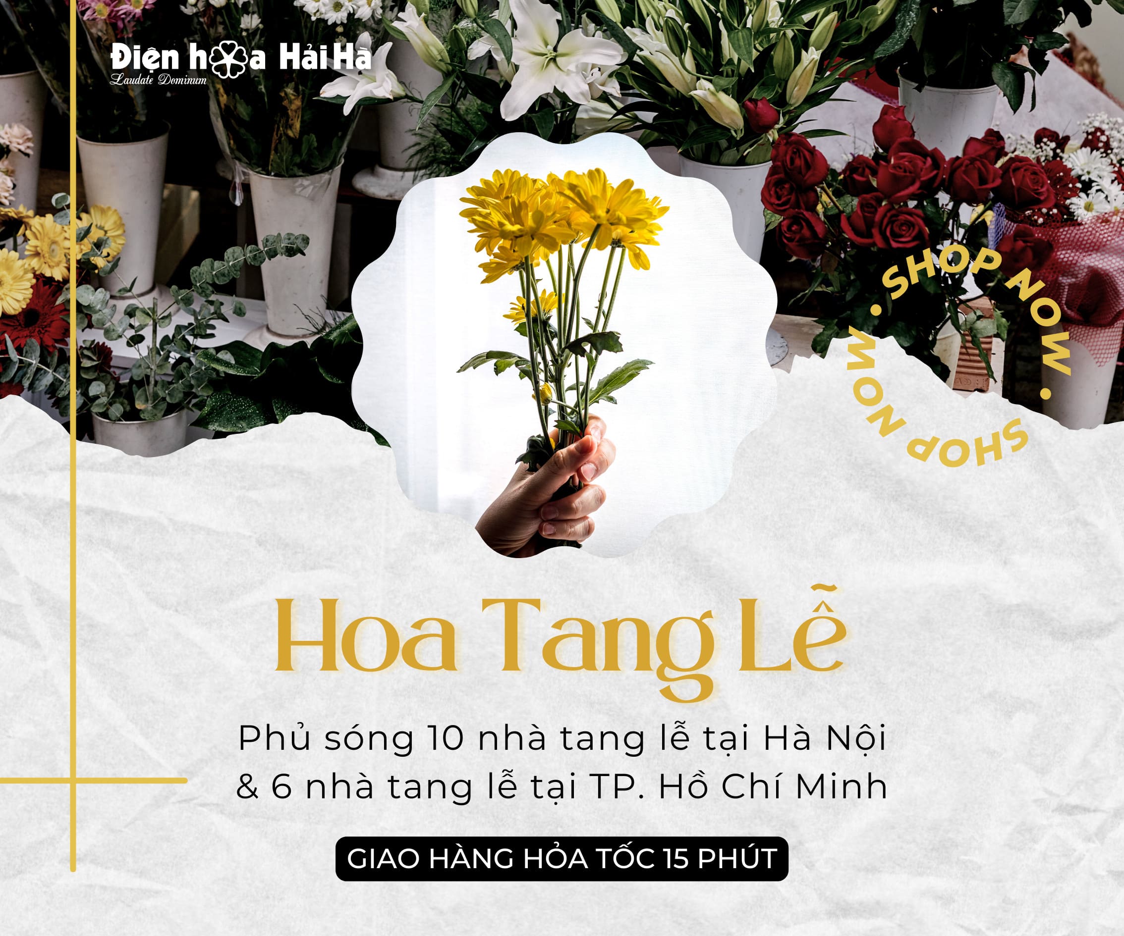 Điện hoa Hải Hà | Dịch vụ điện hoa toàn quốc uy tín chất lượng