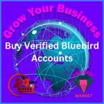 Buy Verified Bluebird Accounts