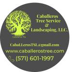 Caballeros Tree Service and Landscaping LLC