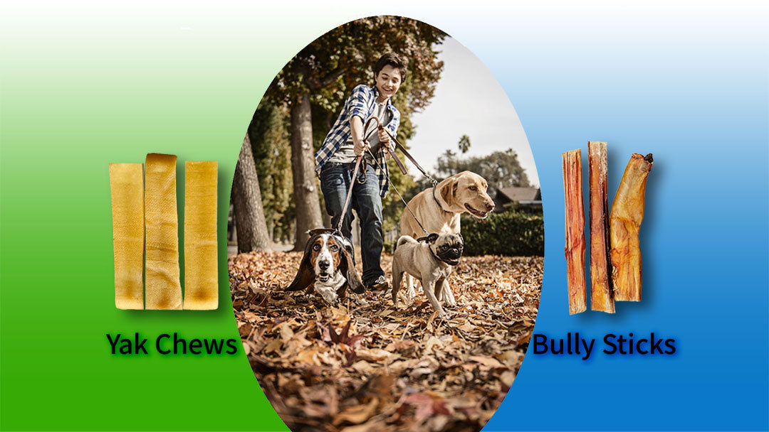 Yak Chews vs Bully Sticks - Which Is Better?  – Tibetan Dog Chew