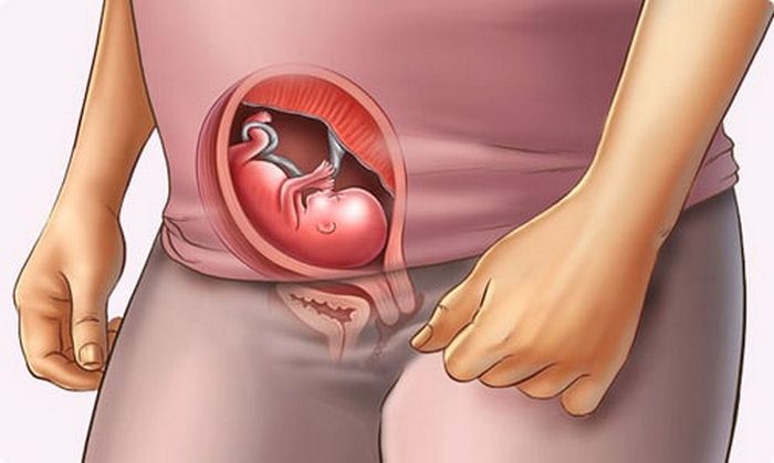 Cẩm nang cho mẹ bầu: Cách giữ thai trong 3 tháng đầu