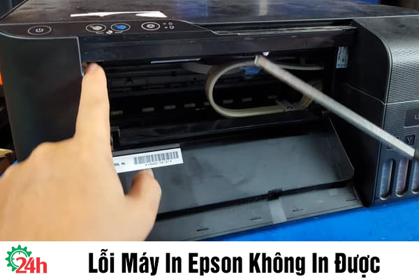 Lỗi Máy In Epson Không In Được - Cùng Tìm Hiểu Ngay