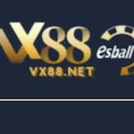Vx88 Net