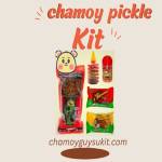 Chamoy Pickle Kit - Knowledge Blog Wiki