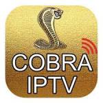 Cobra Iptvinfo