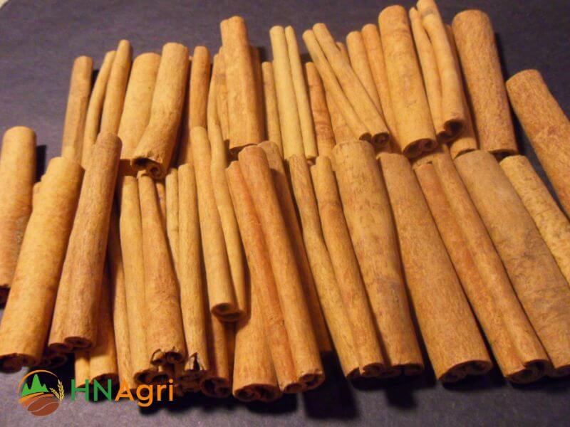 Vietnamese tube cinnamon 5% TC25