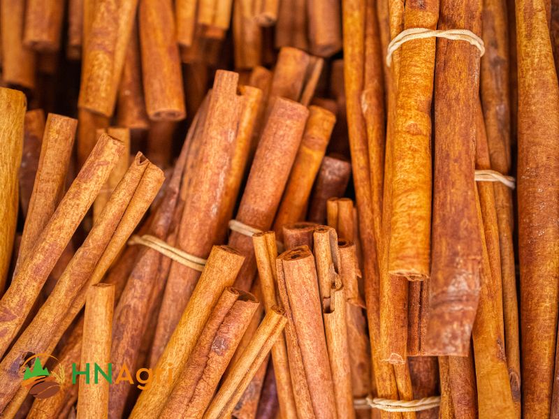 Embracing Bulk Organic Cinnamon Elevate Your Business