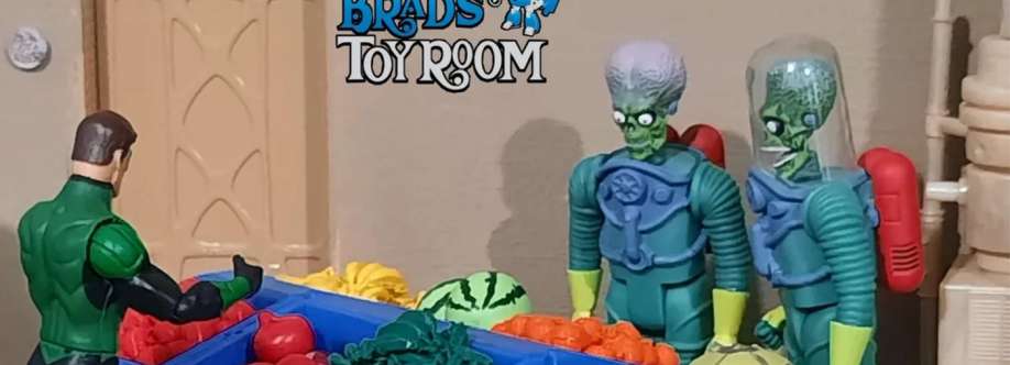 Brads Toy Room