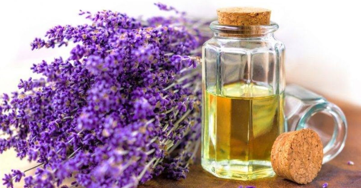 Lavender Oil For Hair Care Secret - Healthy Life Human 360
