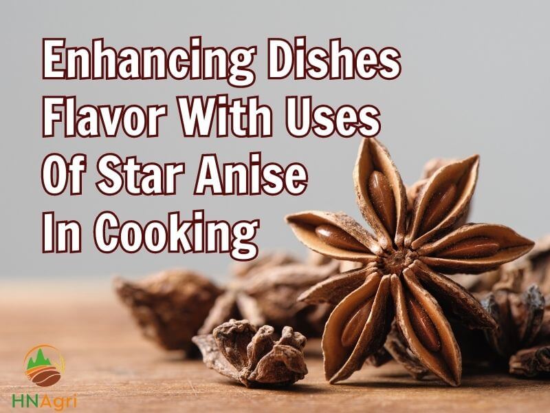 Enhancing Dishes Flavor With Uses Of Star Anise In Cooking
