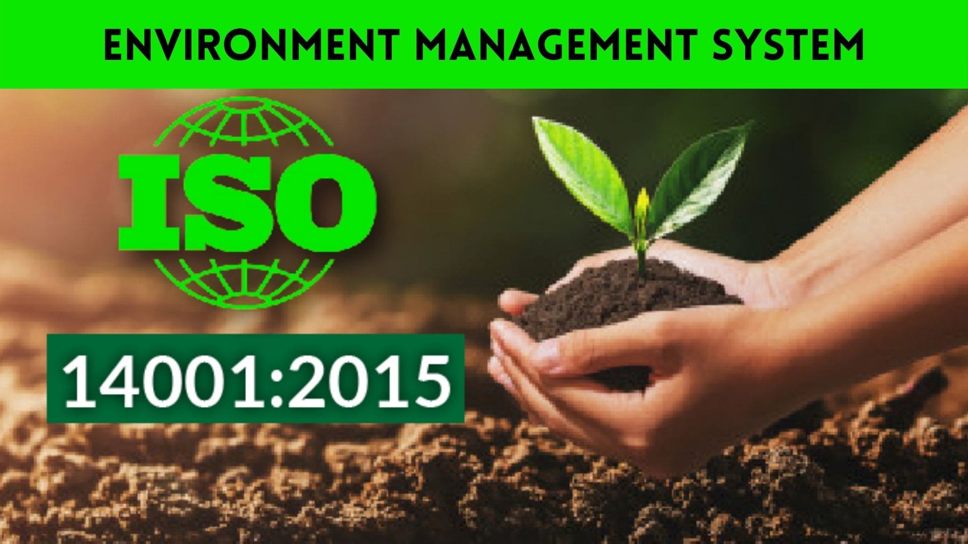 ISO 14001 Environmental Management System Certification | Accurate Global