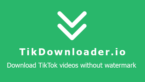 Download TikTok videos HD - Download TikTok no watermark | TikDownloader