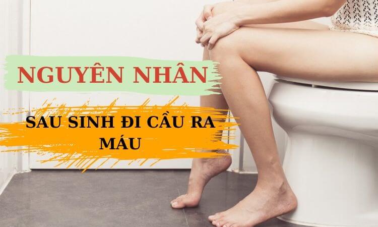 Phụ nữ sau sinh đi ngoài ra máu có sao không? Cách điều trị