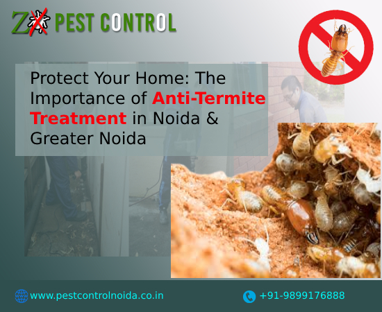 Protect Your Home: The Importance of Anti-Termite Treatment in Noida & Greater Noida: pestcontrol52 — LiveJournal