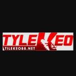 Tilekeo88 net