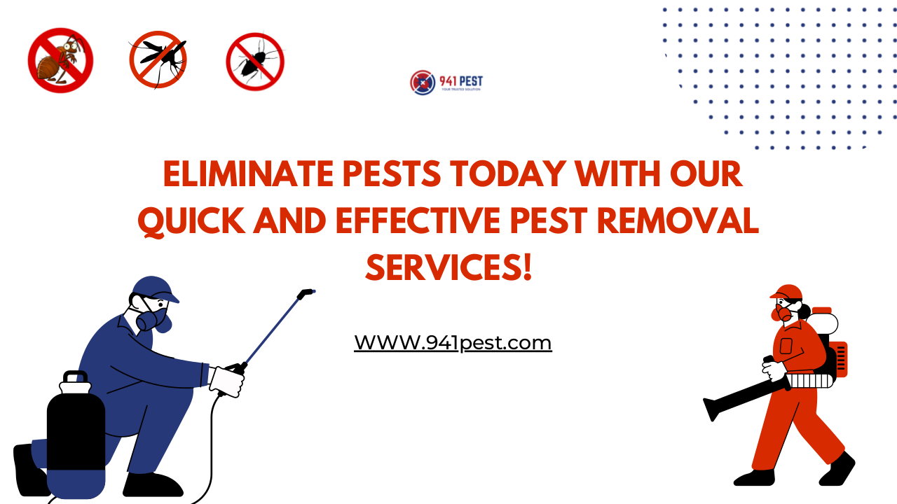 Eliminate Pests Today with Our Quick and Effective Pest Removal Services! | 941 Pest