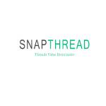 SnapThread Threads Downloader