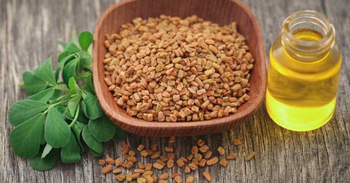 Fenugreek Oil: Nature's Nourishment - Healthy Life Human 360