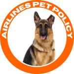 Airlines Pet Policy