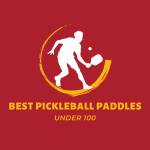 Best Pickleball Paddles Under 100
