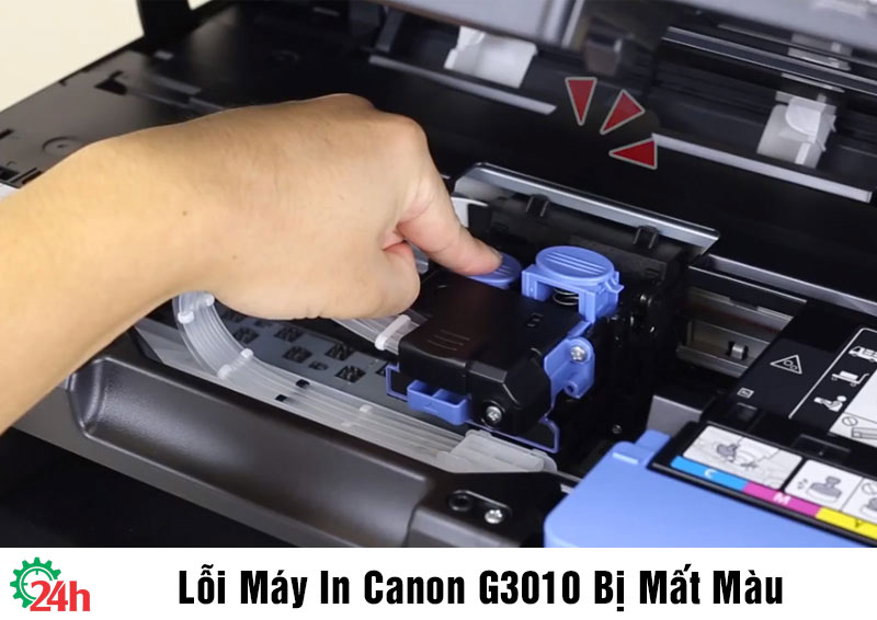 Khắc Phục Lỗi Máy In Canon G3010 Bị Mất Màu Hiệu Quả