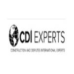 CDI Experts
