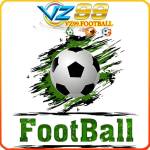 Trang bóng đá VZ99