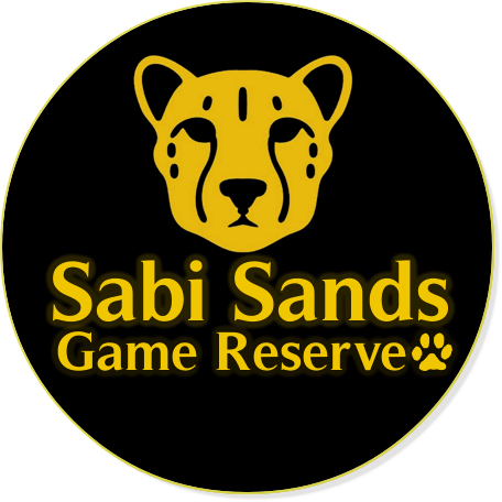 Sabi Sabi Earth Lodge - Sabi Sands - Kruger National Park | Sabi Sands Lodges Reservations - Sabi Sands Game Reserve - South Africa