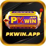 pkwin app
