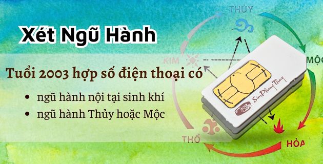 Sinh năm 2003 hợp số điện thoại nào? TIPS chọn sim hợp tuổi 2003