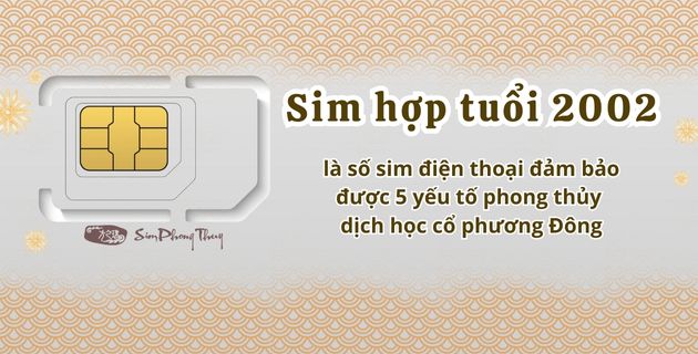 Tuổi 2002 hợp số điện thoại nào? Bí quyết chọn sim hợp tuổi 2002