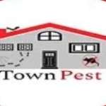 Title Town Pest Pros