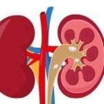 Kidney Dialysis Treatment In India