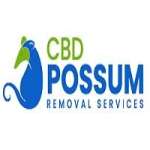 CBD Possum Removal Canberra