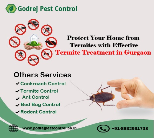 Protect Your Home from Termites with Effective Termite Treatment in Gurgaon