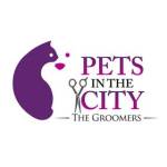Pets In The City Pet Grooming Dubai