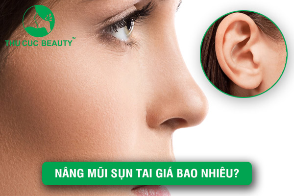 Nâng mũi sụn tai giá bao nhiêu? - Thu Cúc Sài Gòn