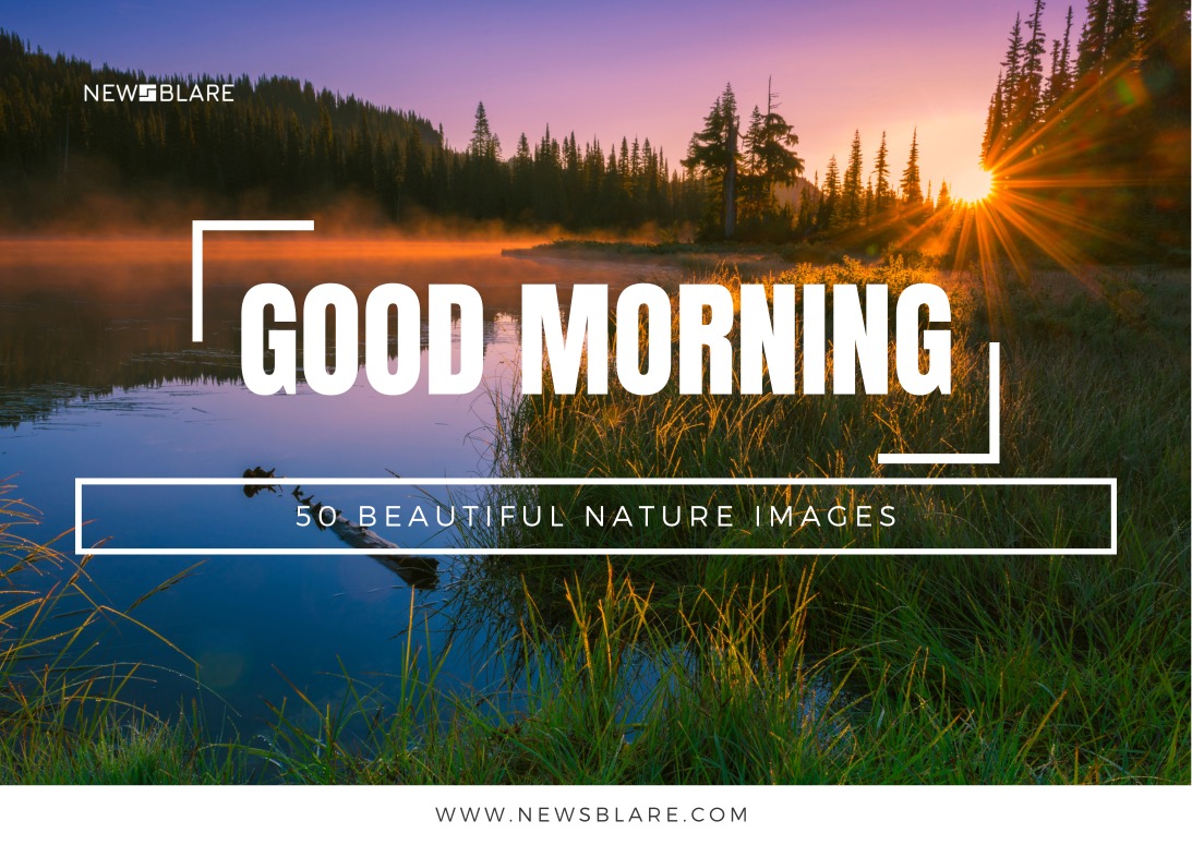 Top 50 Beautiful Nature Good Morning Images for Instagram - Newsblare
