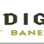 Digital BanegaIndia