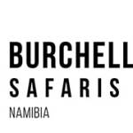Burchell Wolf Safaris Namibia