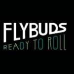 flybuds 420