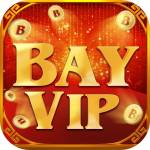 BayVip247 Website
