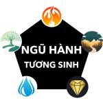 nguhanhtuongsinh Profile Picture