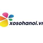 Xosohanoi vn
