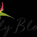 Lily Blooms Wonthaggi Florist